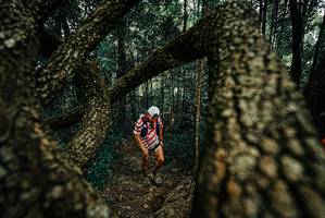 BIB: 
                            <button type="button" onclick="openModal(25676034)" class="btn btn-primary btn-sm float-right btn-popup" data-toggle="modal" data-target=".modal-high-quality">
                        <i class="fas fa-shopping-cart"></i> Add to Cart
                    </button>
                                            <button type="button" onclick="isThisMe(25676034, true)" class="btn btn-success btn-sm float-right btn-popup btn-isme hidden" data-toggle="tooltip" data-placement="bottom" title="นี่คือรูปของคุณใช่ไหม คลิกที่นี่เพื่อเอาเข้าอัลบั้ม">
                        <i class="fas fa-plus"></i> Add to album
                    </button>
                    <button type="button" onclick="isThisMe(25676034, false)" class="btn btn-warning btn-sm float-right btn-popup btn-isnotme hidden">
                        <i class="fas fa-ban"></i> Remove from album
                    </button>